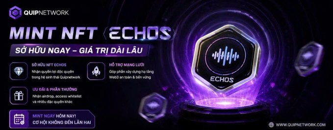 QUIP NETWORK promotional advertisement in Vietnamese for 'MINT NFT ECHOS' (SỞ HỮU NGAY – GIÁ TRỊ DÀI LÂU) featuring a glowing hexagonal NFT token and benefits like ownership rights, Web3 network support, and airdrop access.