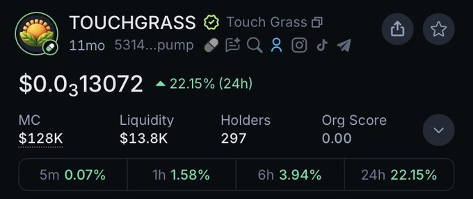 A crypto token page for 'TOUCHGRASS' showing a price of $0.0313 (up 22.15% in 24h), market cap $128K, liquidity $13.8K, 297 holders, and an Org Score of 0.00.