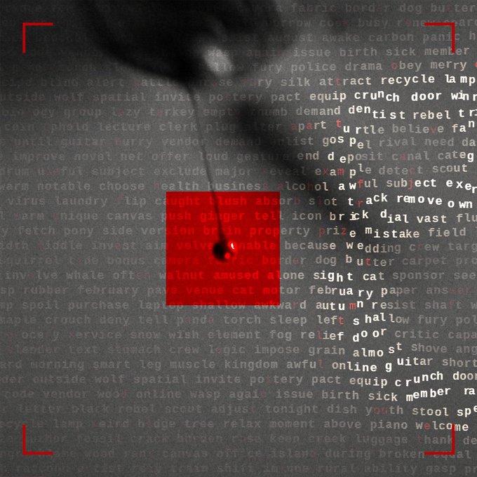 Dark grayscale image of random text with a red square framing a word in the center, featuring a blurred shadowy figure above it.