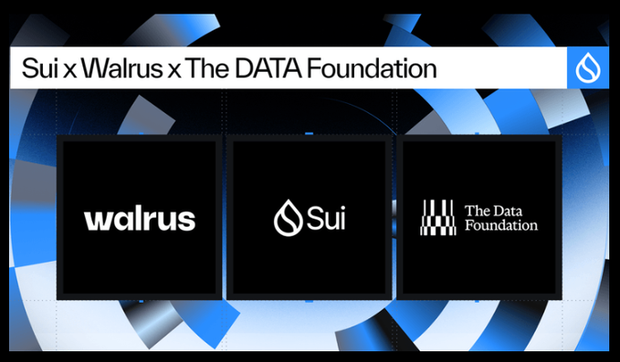 A promotional graphic featuring logos for Sui, Walrus, and The Data Foundation under the heading 'Sui x Walrus x The DATA Foundation' on a blue abstract background.