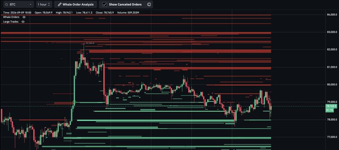 A 1-hour BTC/USD candlestick chart shows the Whale Order Analysis tool displaying massive clusters of red sell-side orders stacked above $81,000 and intensifying toward $84,000, while green buy orders sit lower near $79,000. The visible price action shows BTC peaking at a high of $84,692.8 before rejecting sharply, visually supporting the claim that whales are placing heavy sell orders to cap any rally above $83,000.
