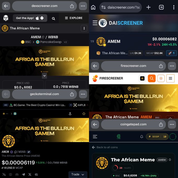A collage of cryptocurrency websites (dexscreener, daiscreener, firescreener, geckoterminal, coingatepad) showing information for the token AMEM ($AMEM) / 'The African Meme'.