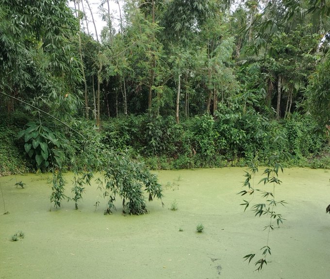 This image captures a scene of a beautiful river surrounded by lush green trees, bushes, and grasses. The river's banks are covered in water, adding a serene ambiance to the setting. The photograph appears to be taken during the early morning hours or just after sunrise, as suggested by the soft light illuminating the surroundings. 

In addition to the natural beauty of the scene, there is an interesting detail about the image - it seems to be part of a post on social media. The caption provided here connects the viewer with the content from @NomismaNetwork and mentions the presence of other users like @useTria and @TheARCTERMINAL. This highlights that the photo could be related to an event or conversation taking place in this particular digital space.