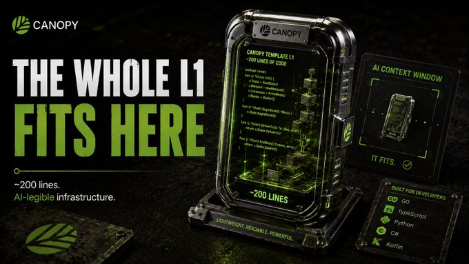 A promotional graphic for Canopy with the tagline 'THE WHOLE L1 FITS HERE,' advertising a lightweight 200-line template built in Go, TypeScript, Python, C#, and Kotlin, with a 3D-rendered transparent case holding code.