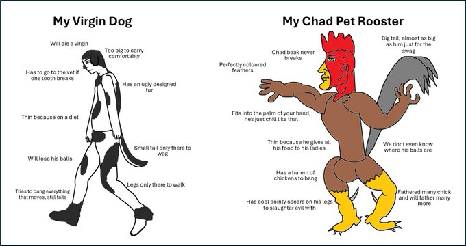 The image shows a cartoon of a rooster and a dog, with text below them stating "My Virgin Dog" and "My Chad Rooster." The caption explains that the dog represents followers or likes, while the rooster symbolizes fake followers or likes. This visual representation highlights the difference between real engagement from users (the dog) and fake engagement created by bots or trolls (the rooster).