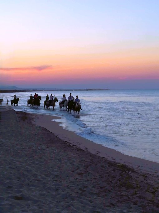 A serene sunset view of a beach where a group of people are horseback riding along the shoreline, with the sky displaying pink and orange hues.