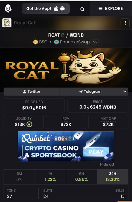 A mobile screenshot of a token tracking app showing 'Royal Cat' (RCAT/WBNB) on PancakeSwap with a price of $0.5016, a market cap of $72K, and various performance metrics including a 13.30% 24H increase.