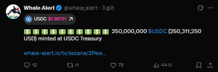 A Whale Alert tweet showing USDC at $0.99701 with text announcing '250,000,000 $USDC (250,311,250 USD) minted at USDC Treasury.'