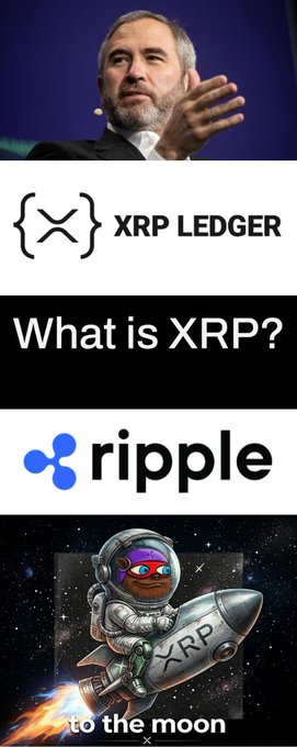 The image shows a man speaking at what appears to be a conference, followed by the XRP Ledger logo, the text "What is XRP?", the Ripple logo, and a cartoon astronaut riding an XRP rocket "to the moon."

The image serves as a visual introduction to XRP and Ripple, contrasting the optimistic "to the moon" rocket imagery with the post's narrative about XRP's dramatic price collapse from its peak of $3.65 down to $1.35 over the past year.