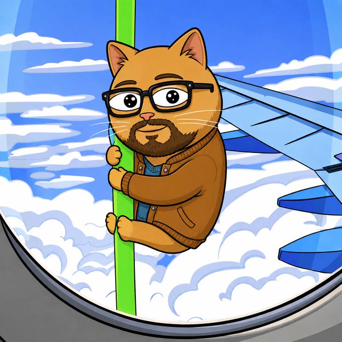 A cartoon bearded cat wearing glasses clings to a green pole outside an airplane window above the clouds. The whimsical image illustrates transparency and strict allocation of “Official Suicat” project funds, which cannot be used for personal expenses.