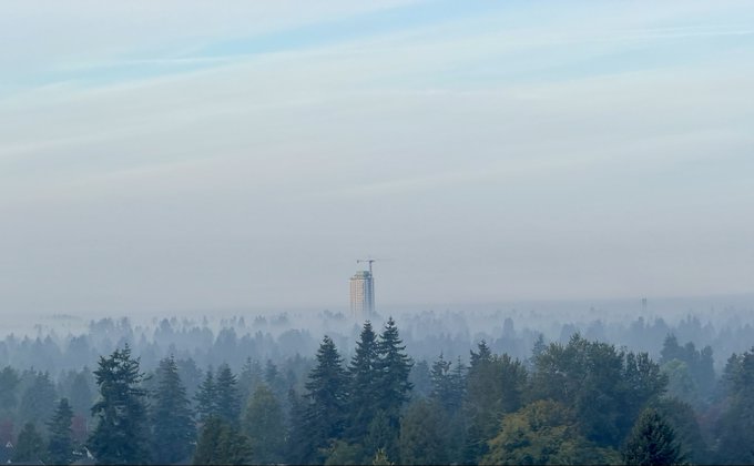 A hazy, distant landscape view of a forested horizon with a single high-rise building under construction and a construction crane visible in the misty background.