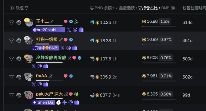 A dark-themed cryptocurrency wallet ranking dashboard displays top BNB holders, with "王小三" (@brc20niubi) leading at 10.26h with 16.98 BNB (1.5%) held for 614 days, followed by "打狗一级棒" with 18.38h and "冷静冷静再冷静" with 107.5h. The table includes columns for wallet address, BNB balance, last activity time, holdings percentage, and wallet creation time, fitting the "Binance Life Combo" concept by showcasing active long-term BNB holders.