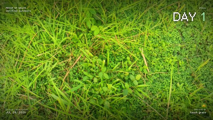 A close-up image of green grass and moss with overlaid text including 'PROOF OF GRASS', 'verified outdoor', 'DAY 1', 'DATE OF CERTIFICATION JUL 09, 2026', and a 'CERTIFIED BY touch grass' badge.