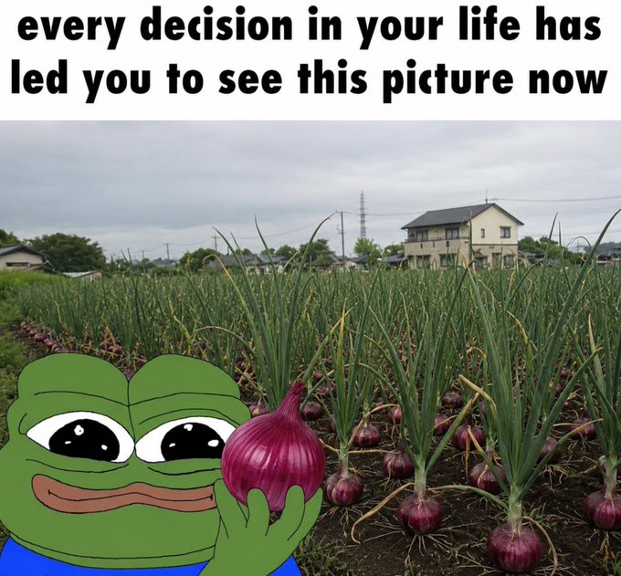 A meme featuring a cartoon Pepe frog crying while holding a red onion in front of a field of onions, with text reading 'every decision in your life has led you to see this picture now'.
