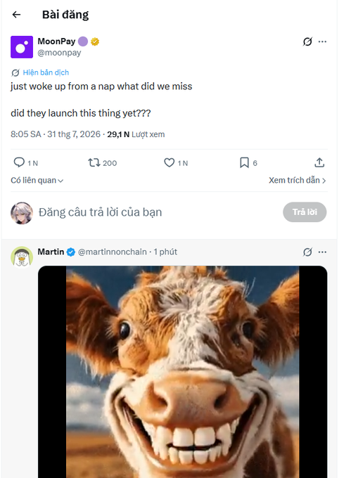 The image shows a MoonPay (@moonpay) post from July 31, 2026, asking "just woke up from a nap what did we miss / did they launch this thing yet???" with 29.1K views and 1K comments. Below it, user Martin (@marttnonchain) replies with a heavily photoshopped "smiling cow" meme, humorously conveying the anticlimactic feeling that after all the hype and waiting, nothing actually happened — matching the Vietnamese caption's sentiment about being kept up all night with no real launch.