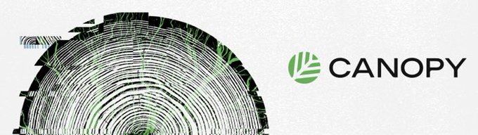 A logo banner for 'CANOPY' featuring a circular tree-ring or fingerprint-style graphic in black with green accents on a white background.