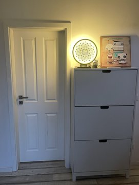 The image features a white door with a round light fixture mounted above it, creating an interesting focal point. The door also serves as a display for a painting of a cat that has been auctioned off at the @FractalEncrypt conference in June. The painting is being sold via a platform called @bitcoincipher, which is known for its unique art auctions. The artwork was purchased by a collector who wishes to remain anonymous.