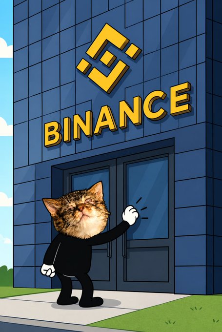 An illustration of a cat-headed character in a black suit knocking on the door of a building labeled 'BINANCE' with the Binance logo above it, referencing the cryptocurrency exchange.