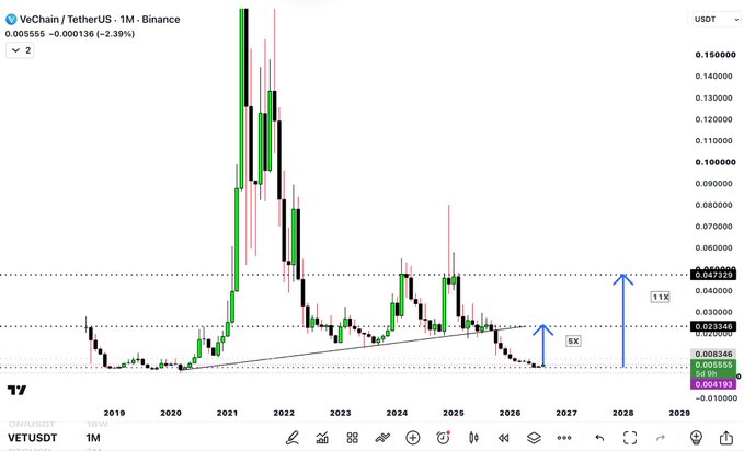 A VeChain/TetherUS (VETUSDT) monthly candlestick chart on Binance showing a long-term ascending triangle pattern with projected targets at 0.047329 (11X) and 0.021346 (5X).