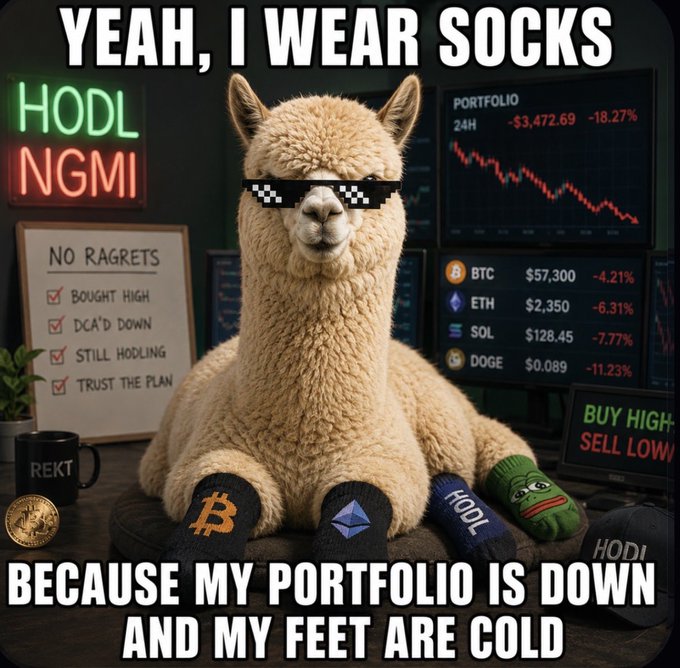 The image features a light brown alpaca wearing sunglasses, sitting on top of a desk with various items such as a cup, a plant, and a computer monitor behind it. The background includes a neon sign that says "#sol". The caption below the image reads "#sol", which is likely a reference to the social media platform or hashtag used by the person who posted this image.