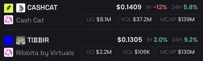 The image shows a price comparison between two meme coins: CASHCAT ($0.1409, up 5.8% in 24H) and TIBBIR ($0.1305, up 9.2% in 24H), with both showing similar market caps around $130M. This aligns with the post's claim that the two are "neck to neck," with CASHCAT holding a slight lead in price despite TIBBIR having the bigger 24-hour percentage gain.