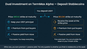 An informational graphic titled 'Dual Investment on TermMax Alpha – Deposit Stablecoins' explaining two scenarios when depositing USDT: if price is ABOVE strike at maturity, you keep your USDT principal plus premium and passive yield; if BELOW, you receive the asset at strike price plus premium and passive yield.