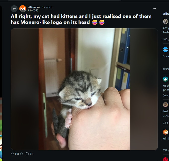 A Reddit post from r/Monero showing a small kitten with markings on its head, captioned 'All right, my cat had kittens and I just realised one of them has Monero-like logo on its head'.