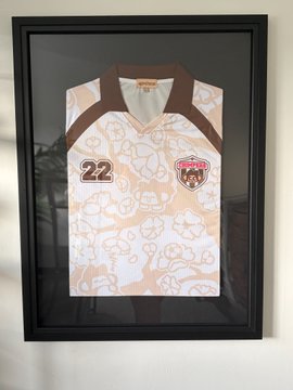 A framed pink and white Hello Kitty patterned jersey with the number '22' and a Western Bulldogs AFL logo displayed on a wall.