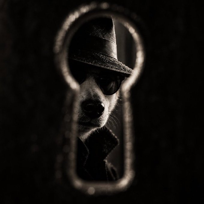 A black-and-white photograph of a small dog wearing a witch's hat and sunglasses, peering through a vintage keyhole-shaped frame, evoking a mysterious, secretive vibe that mirrors the post's playful joke about a covert Monero handoff.
