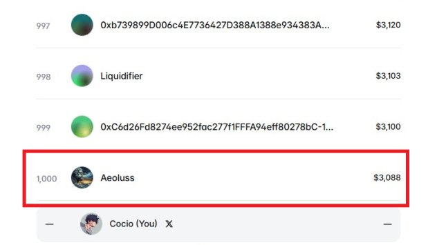 A leaderboard listing top users by amount, with 'Aeoluss' at rank 1,000 holding $3,088 highlighted in a red box, just above 'Cocio (You)' at rank 1,001.