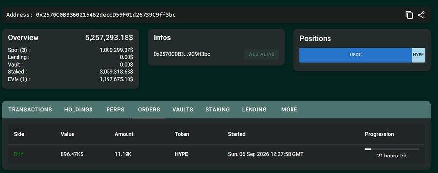 A crypto wallet interface shows an overview with $5,257,293.18, holdings including USDC and HYPE positions, and an active BUY order for 11.19K HYPE tokens worth $896.47K.