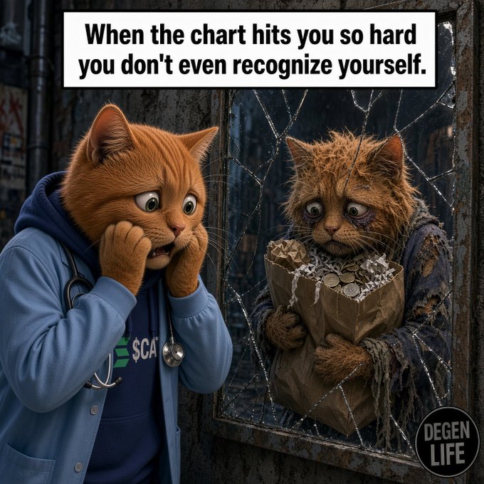 A 'Degen Life' meme featuring an anthropomorphic cat in a hoodie looking shocked at its reflection in a cracked mirror, seeing a ragged, homeless version of itself holding a paper bag of coins, captioned 'When the chart hits you so hard you don't even recognize yourself.'