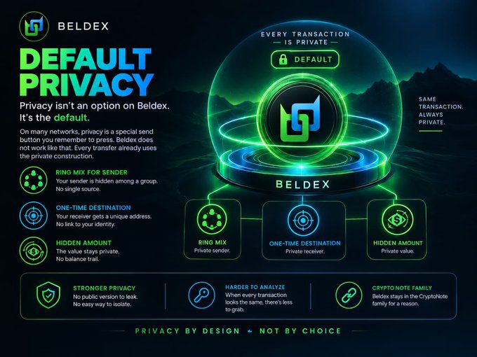 A promotional graphic for 'BELDEX' titled 'DEFAULT PRIVACY' explains the cryptocurrency's privacy features, highlighting 'RING MIX FOR SENDER', 'ONE-TIME DESTINATION', and 'HIDDEN AMOUNT'.