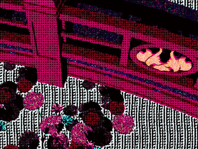 A highly distorted, pixelated image featuring vibrant pink, red, and black abstract patterns with vertical lines and floral-like shapes, resembling a corrupted digital photograph.