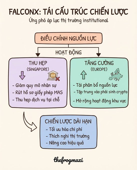 An infographic in Vietnamese titled 'FALCONX: TÁI CẤU TRÚC CHIẾN LƯỢC' (FalconX: Strategic Restructuring) detailing operational adjustments including downsizing in Singapore and expansion in Europe, branded with 'thefrogmaxi'.