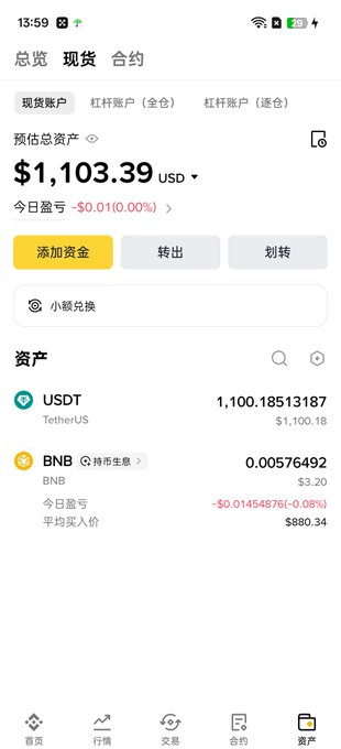 A Binance app screenshot showing a spot account with an estimated total assets balance of $1,103.39 USD, held primarily as 1,100.18513187 USDT ($1,100.18) and a small amount of BNB (0.00576492, valued at $3.20), matching the post's announcement of starting a new Binance account with $1,100 to track activity-based earnings over a year.