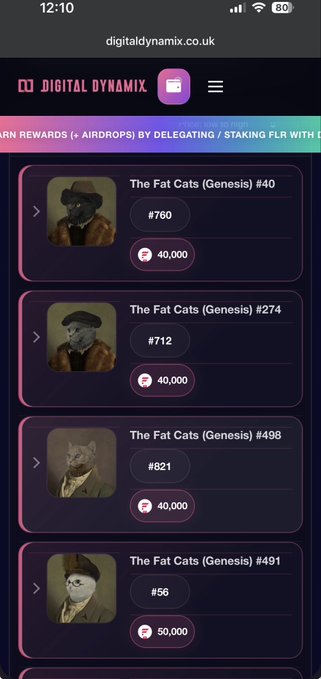 Screenshot of digitaldynamix.co.uk displaying a list of 'The Fat Cats (Genesis)' NFTs numbered #40, #274, #498, and #491 with prices like #760 and #40,000, under a banner about earning rewards via AIRDROPS from delegating/staking FLR.
