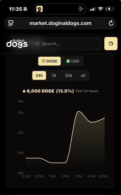 A mobile screenshot of market.doginaldogs.com showing a DOGE/USD price chart with a 15.8% increase (6,000 DOGE) in the past 24 hours.