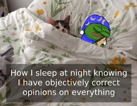 A humorous meme image showing a cat peeking out from under a floral-patterned blanket with a Pepe the Frog character wearing a blue nightcap, captioned 'How I sleep at night knowing I have objectively correct opinions on everything'.