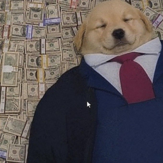 A golden retriever puppy's head is photoshopped onto a businessman wearing a navy suit and red tie, posed against a backdrop of stacked $50 bills. The image humorously embodies the post's sentiment of longing for the early meme coin era, when crypto projects featured simple, relatable internet humor (like this wholesome "business dog" meme) rather than complex financial mechanisms — contrasting the laid-back, meme-driven origins with the idea of "working" (hustling) for bags of money.