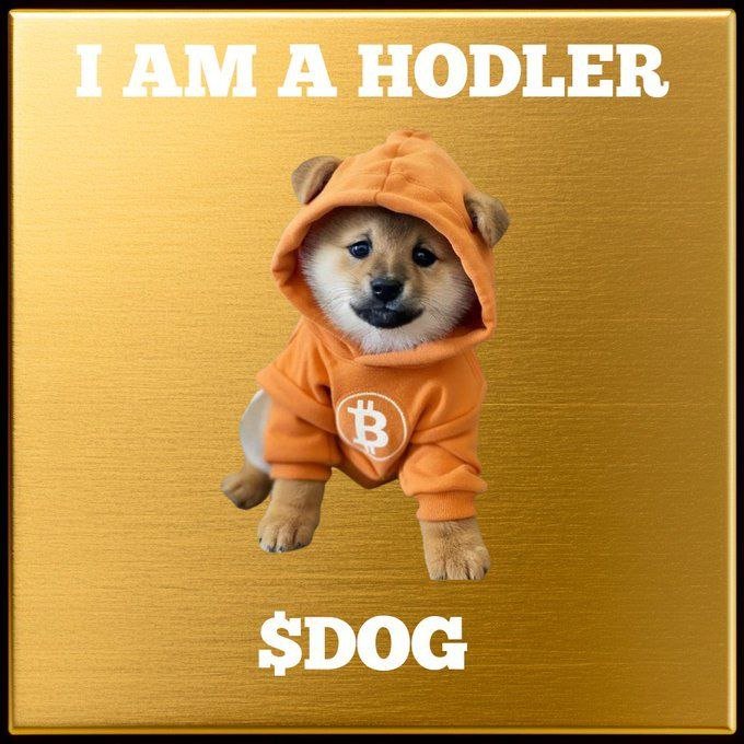 A meme image featuring a Shiba Inu puppy wearing an orange Bitcoin hoodie with the text 'I AM A HODLER' at the top and '$DOG' at the bottom on a gold background.