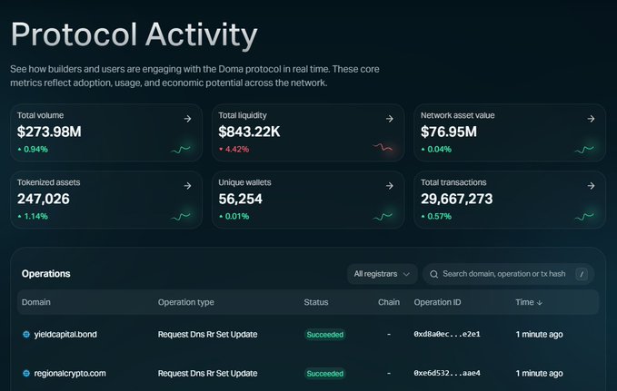 A 'Protocol Activity' dashboard displaying metrics for the Doma protocol, including total volume of $273.98M, total liquidity of $843.22K, network asset value of $76.95M, and operations log.