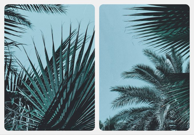 A diptych of palm fronds photographed against a clear blue sky, with a cool cyan tonal treatment that evokes a tropical, summery atmosphere matching the "Summer Days" artwork being promoted in the post.