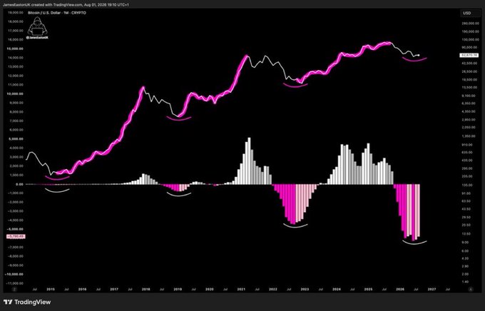A TradingView weekly Bitcoin/USD chart from JamesBaraniuk displays BTC's price rising from ~$1,000 in 2015 to a peak above $100,000 by 2025, with the W1 with Mo momentum indicator (histogram) showing deep negative swings at key cycle lows that aligned with major buying opportunities—visually reinforcing the post's message that patient accumulation during extreme bearish momentum phases yields substantial long-term gains.