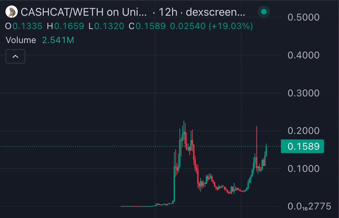 The CASHCAT/WETH price chart on Dexscreener shows a current price of 0.1589 and a 19.03% increase over 12 hours, supporting the post's bullish outlook.