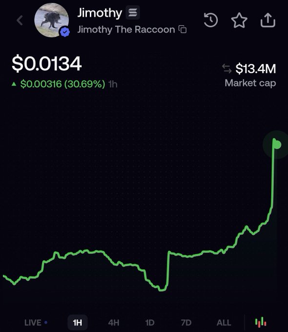 A screenshot shows the price chart for the meme coin "Jimothy The Raccoon" ($Jimothy), trading at $0.0134 with a 30.69% gain (1H) and a $13.4M market cap. The image visually supports the post's hype of $Jimothy as a viral, normie-friendly coin by highlighting its recent sharp upward spike on the 1-hour chart.