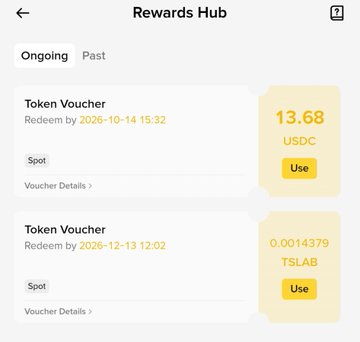 A 'Rewards Hub' interface displaying two redeemable token vouchers: one for 13.68 USDC expiring on 2026-10-14 and another for 0.0014379 TSLAB expiring on 2026-12-13.