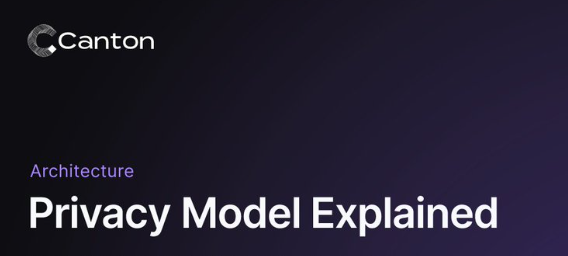 This image displays "Canton Architecture: Privacy Model Explained," suggesting the content aims to educate viewers on privacy models, aligning with the post's encouragement to "DYOR" (Do Your Own Research).