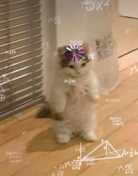 The image features a cat standing on its hind legs, with a math problem written below it that includes x2+x3/2. The cat appears to be wearing a purple headband, adding a playful touch to the scene.