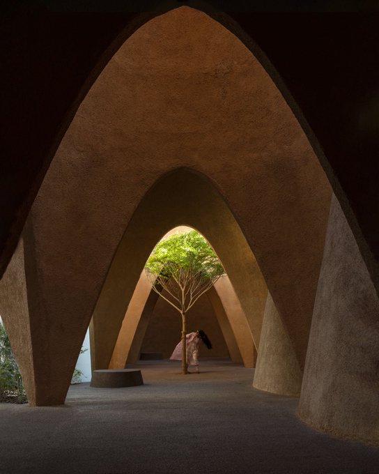 An interior view of an earth-toned structure with smooth, arched concrete walls and vaulted ceilings, framing a small tree and a figure in the central chamber.